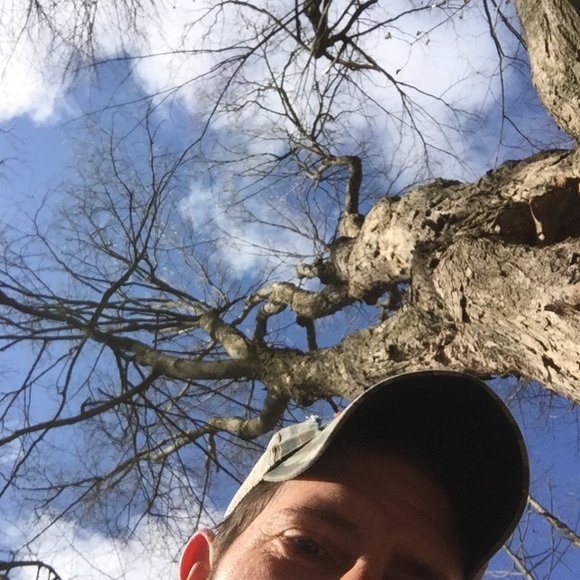 ™ - Picture 2 of 3